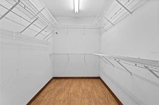 spacious closet with light wood-style flooring