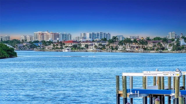 property view of water with a dock