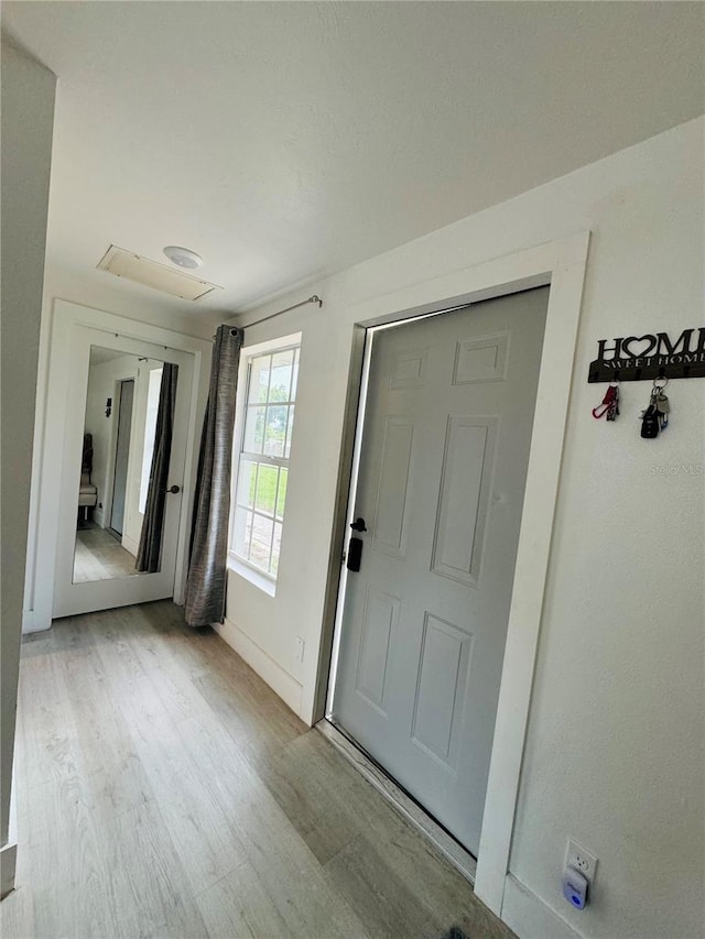 entrance foyer with light wood-type flooring