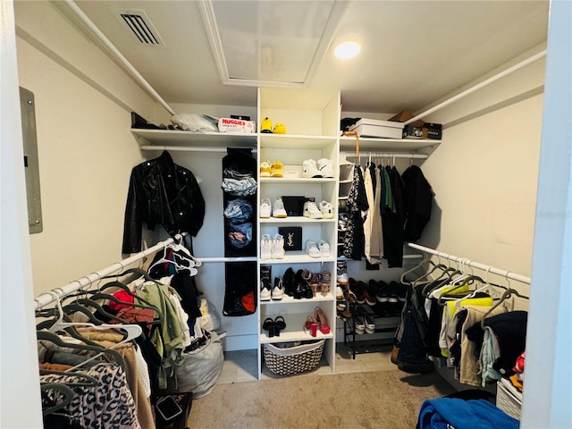 view of spacious closet