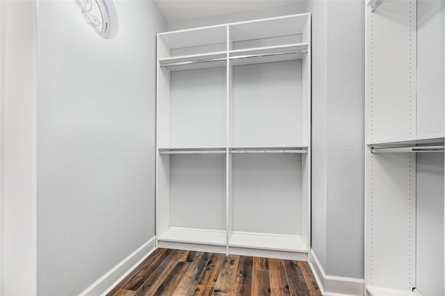 spacious closet featuring dark wood-type flooring