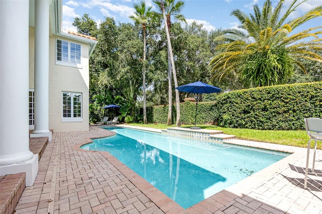 view of pool featuring a patio