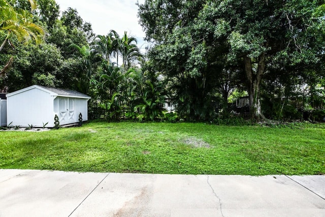 view of yard with a storage shed