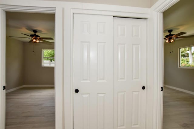 interior space featuring ceiling fan and wood-type flooring