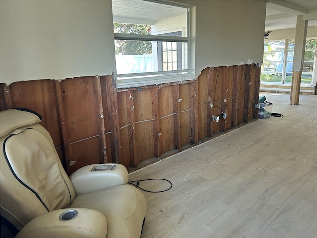 sitting room featuring a healthy amount of sunlight and light wood-type flooring