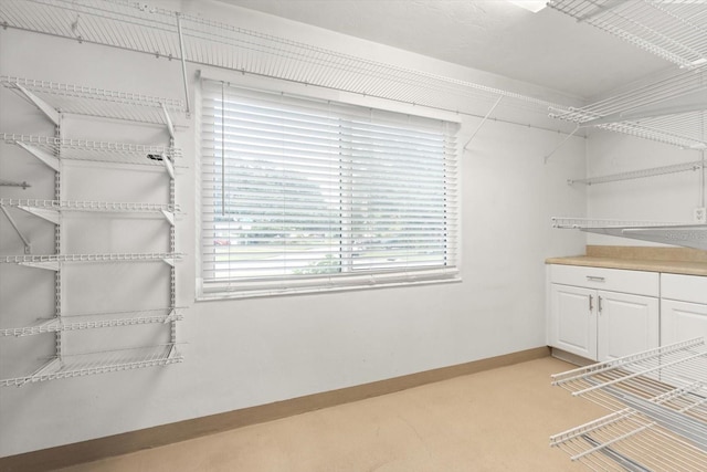 walk in closet with light colored carpet