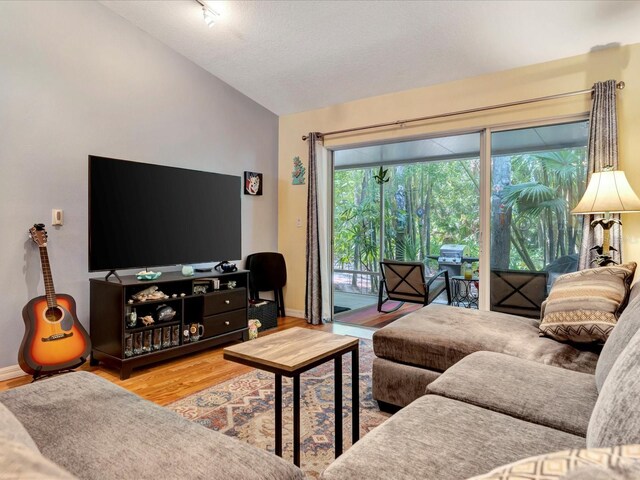 living room featuring lofted ceiling and wood-type flooring