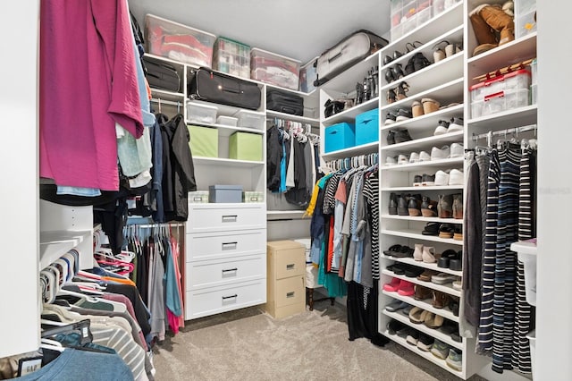 walk in closet featuring light carpet