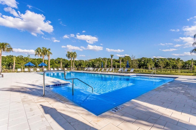 view of pool with a patio