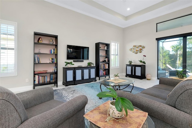 living room with a raised ceiling and a healthy amount of sunlight