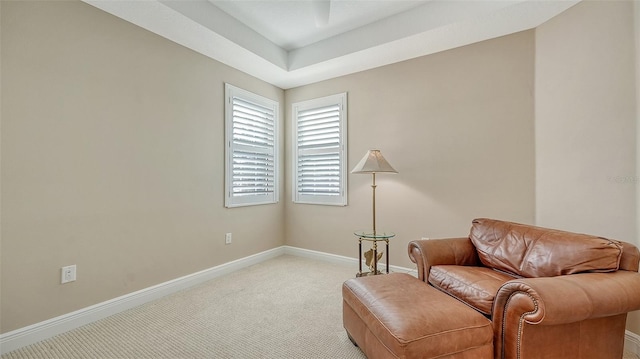 sitting room with light carpet