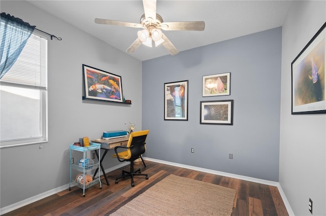 office with dark hardwood / wood-style floors and ceiling fan