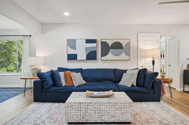 living room featuring hardwood / wood-style flooring