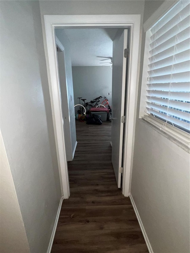 corridor featuring dark wood-type flooring