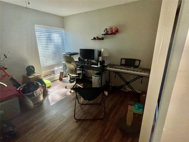 office featuring wood-type flooring