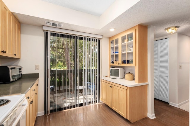 kitchen with light brown cabinetry, a textured ceiling, and dark hardwood / wood-style flooring