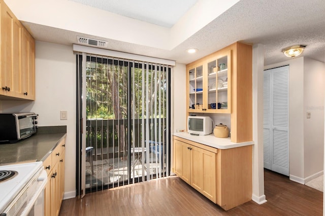 kitchen with visible vents, glass insert cabinets, dark wood-type flooring, and light brown cabinets
