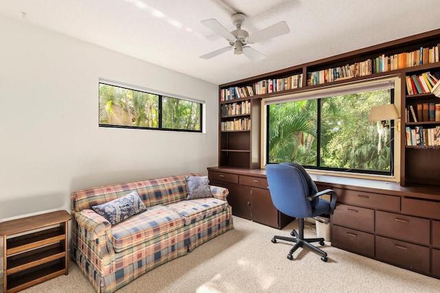 office space featuring a ceiling fan and carpet floors