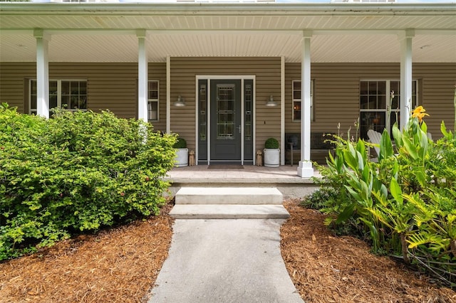 view of exterior entry with a porch