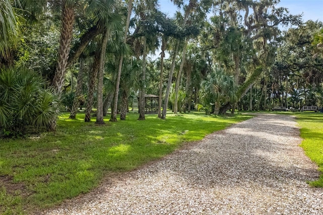 view of property's community featuring a lawn