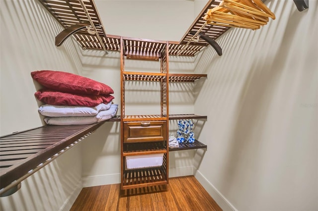 spacious closet with hardwood / wood-style flooring