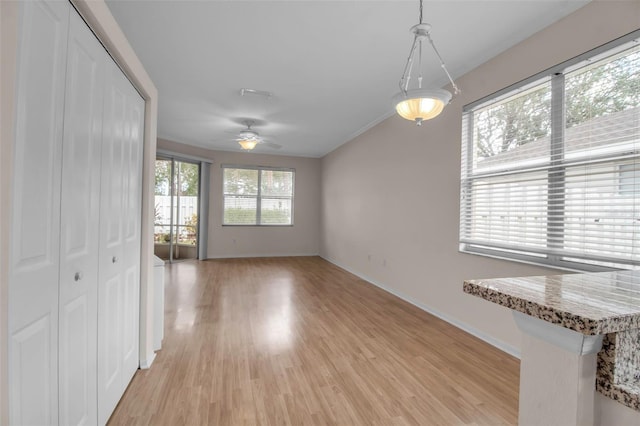 interior space with ceiling fan and light hardwood / wood-style floors