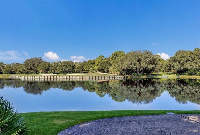 property view of water