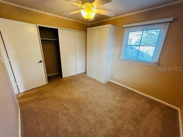 unfurnished bedroom featuring ceiling fan, carpet flooring, and ornamental molding