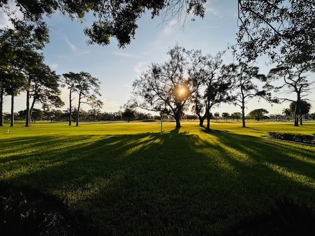 view of property's community with a lawn