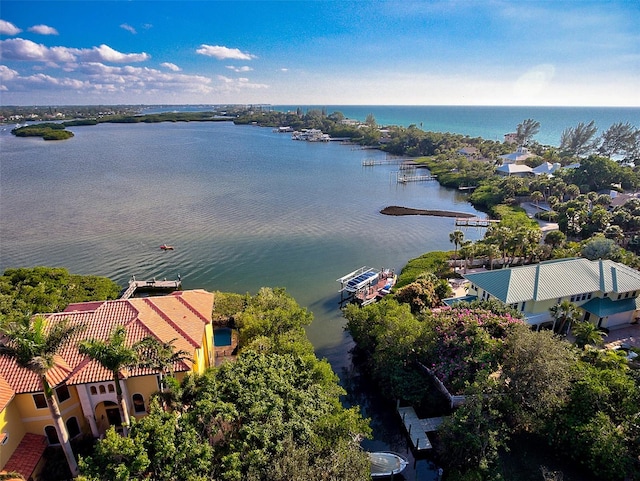 drone / aerial view with a water view