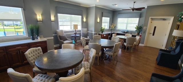 dining space featuring a healthy amount of sunlight, ornamental molding, dark hardwood / wood-style floors, and ceiling fan