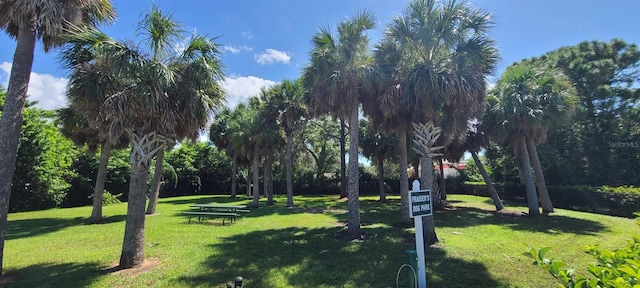 view of home's community with a lawn