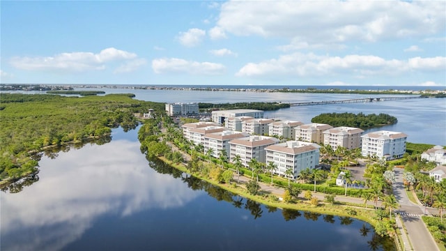 aerial view with a water view