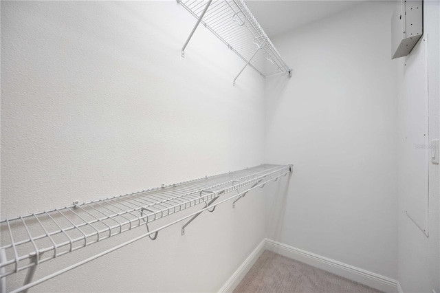 walk in closet with carpet flooring