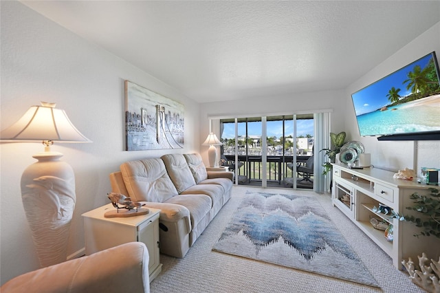 carpeted living room with a textured ceiling