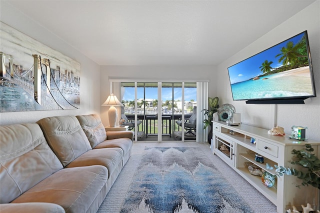 living room with light carpet