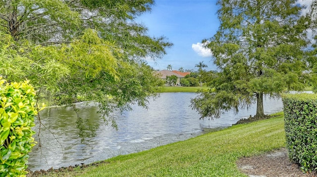 view of water feature