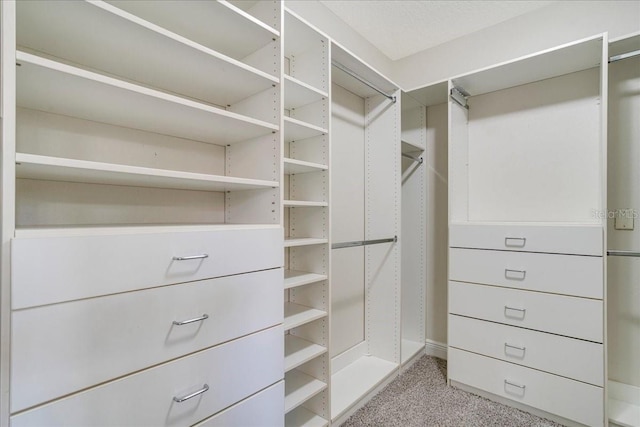 spacious closet with light carpet