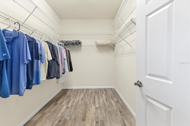 walk in closet with wood-type flooring