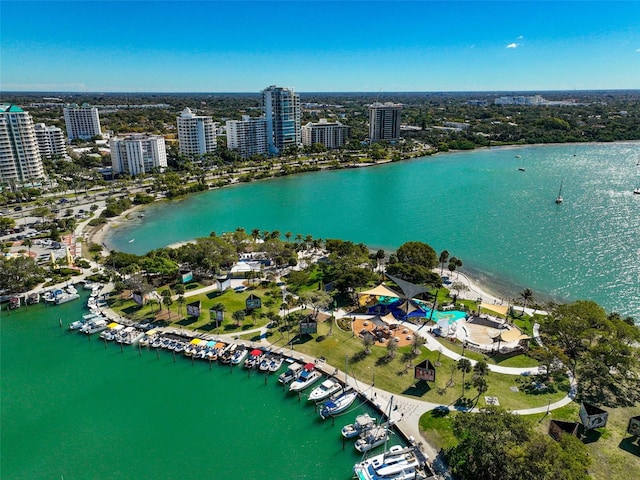 aerial view with a water view