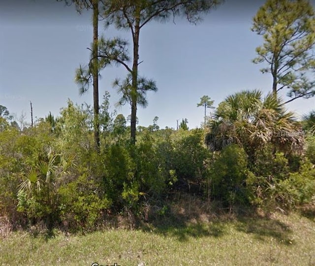 489 Reese St, Port Charlotte FL, 33953 land for sale