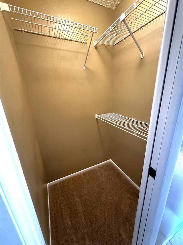 walk in closet with carpet