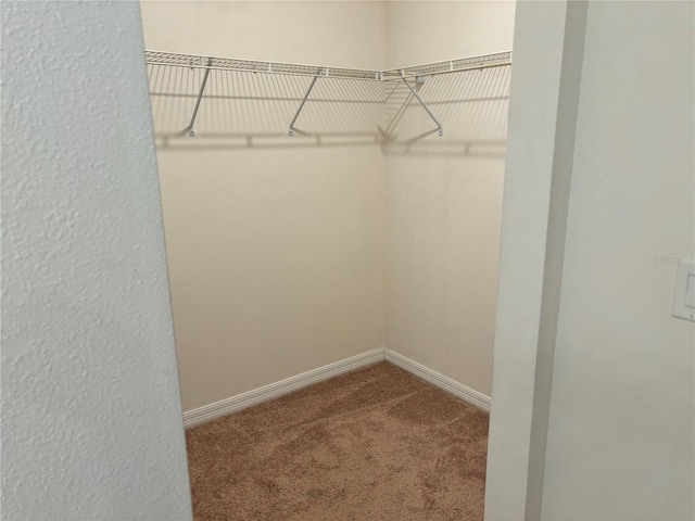 walk in closet with carpet floors