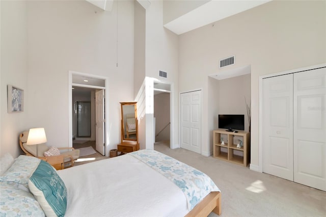 553 Bahia Beach Blvd, Ruskin, FL 33570 - carpeted bedroom featuring a high ceiling and two closets