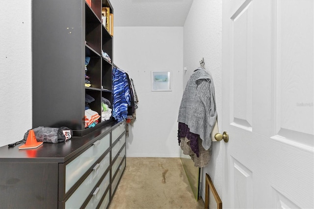 walk in closet featuring light carpet