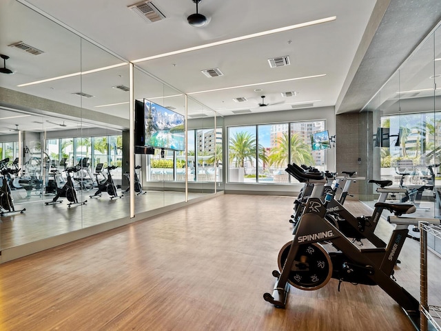 exercise room with hardwood / wood-style flooring and ceiling fan