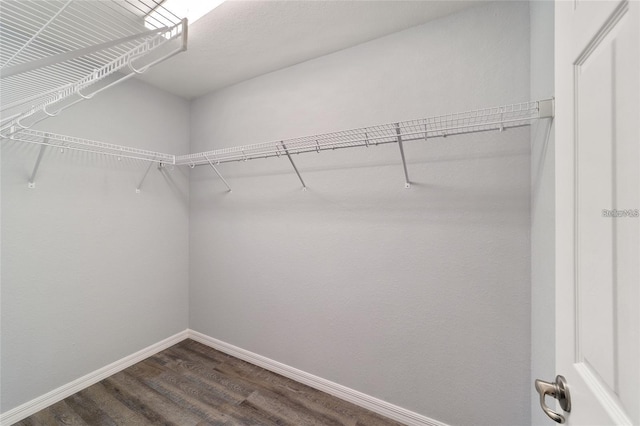 spacious closet featuring wood-type flooring