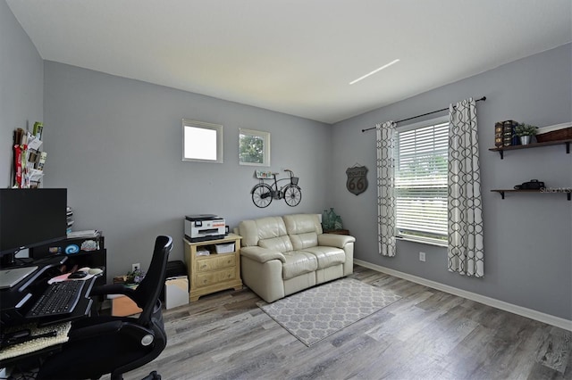 office space featuring wood finished floors, a wealth of natural light, and baseboards