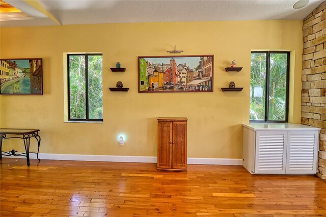 interior space with a textured ceiling, light hardwood / wood-style flooring, and a wealth of natural light