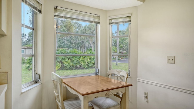 dining room with a wealth of natural light